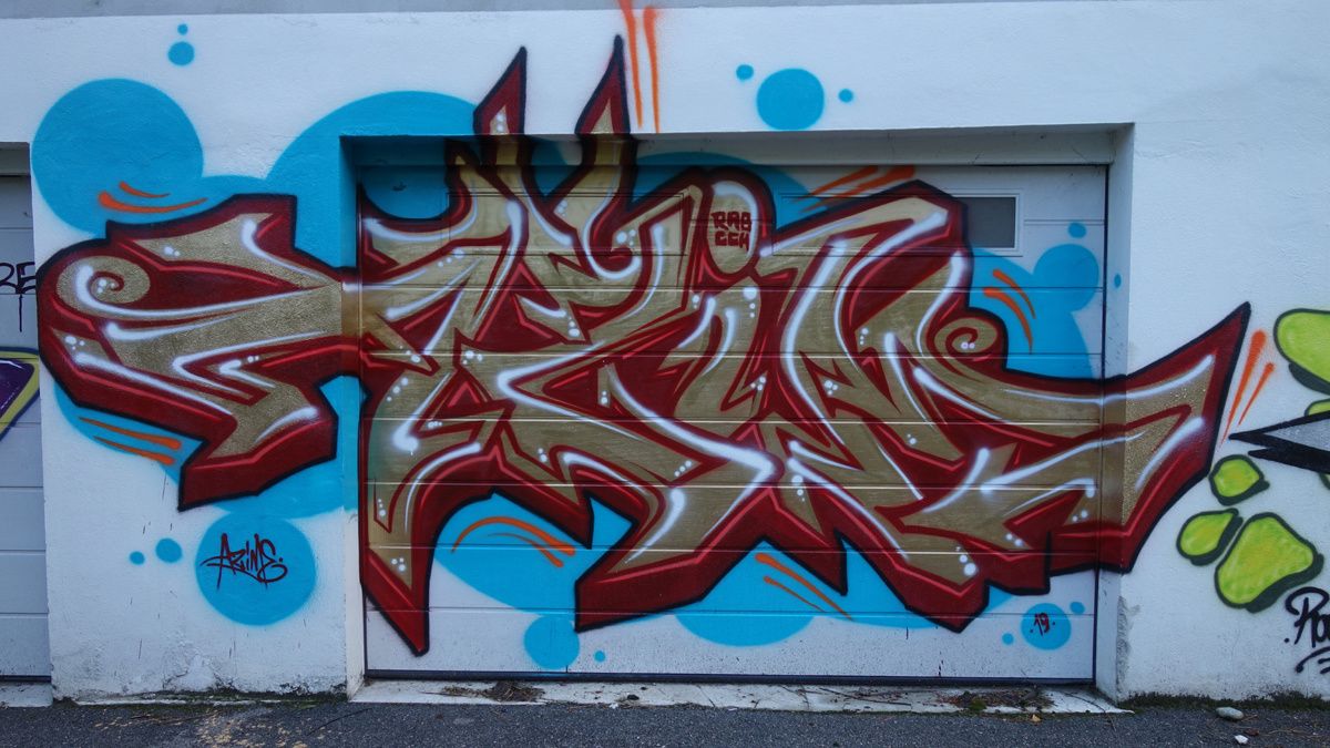 Street Art : Graffitis & Fresques Murales 73065 Chambery