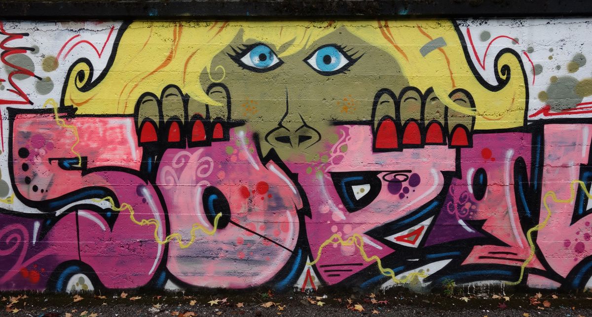 Street Art : Graffitis & Fresques Murales 73065 Chambery