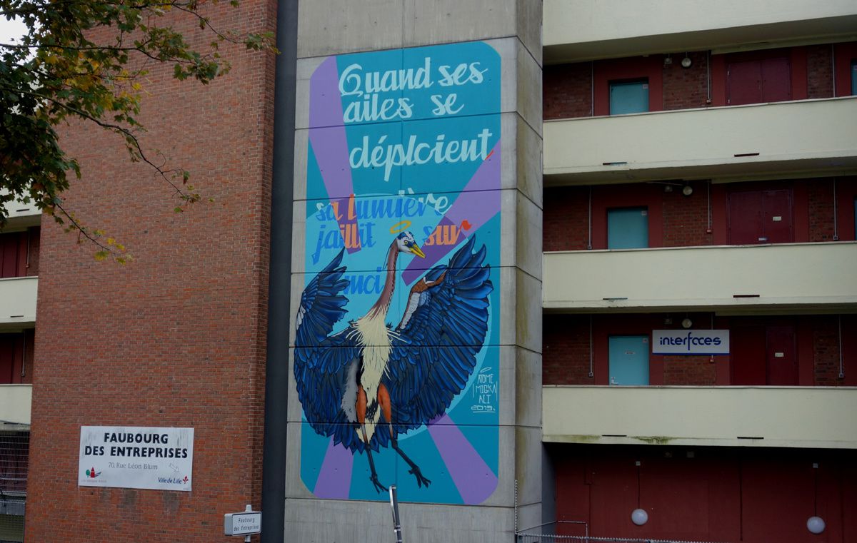 Street Art : Graffitis & Fresques Murales 59000 Lille