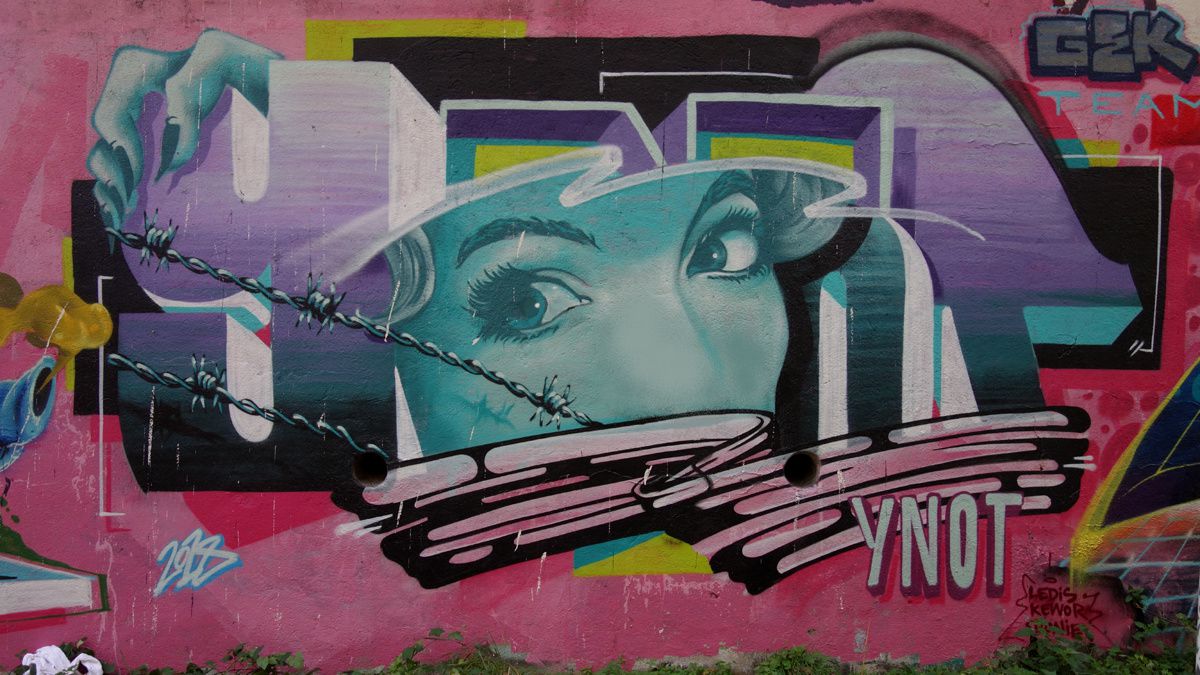 Street Art : Graffitis &amp; Fresques Murales 42100 Saint Etienne
