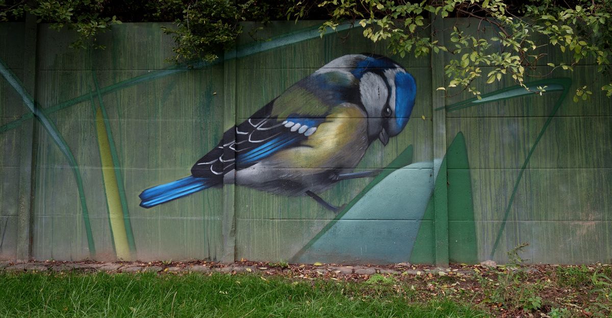 Street Art : Graffitis & Fresques Murales 59100 Roubaix