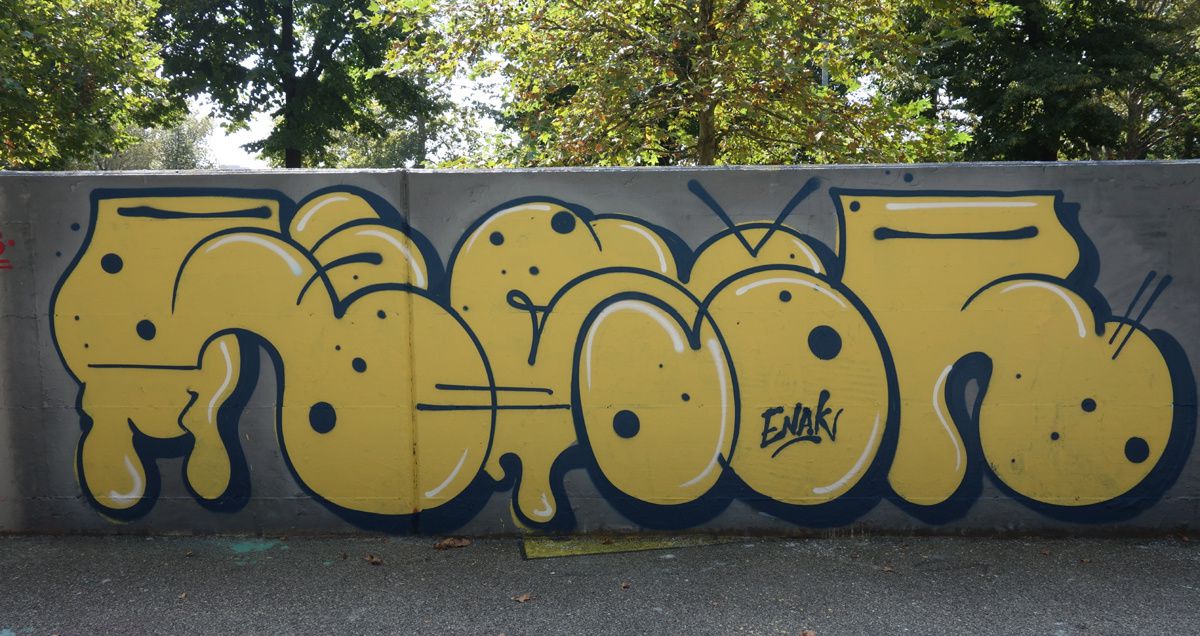 Street Art : Graffitis &amp; Fresques Murales 10149 Turino (italy)