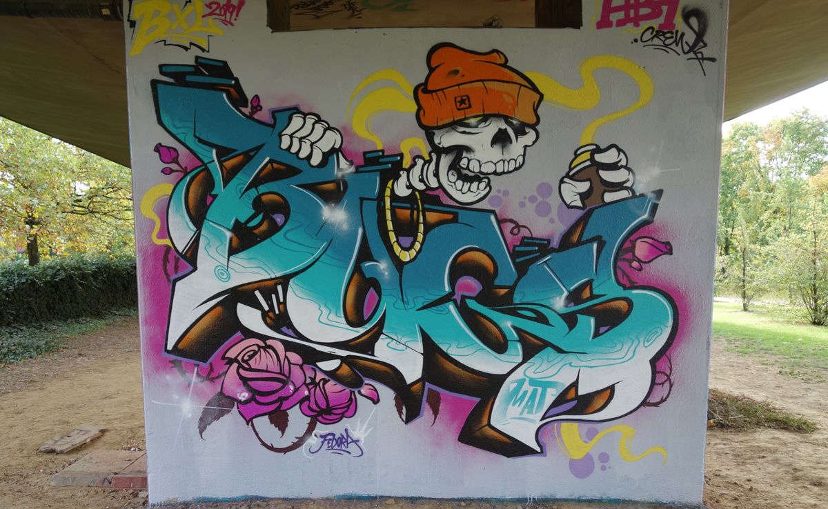 Street Art : Graffitis & Fresques Murales 1070 Anderlecht ( Belgique )