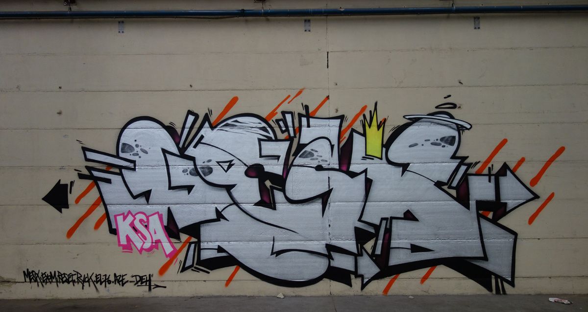 Street Art : Graffitis & Fresques Murales 9473 Denderleeuw ( Belgique )