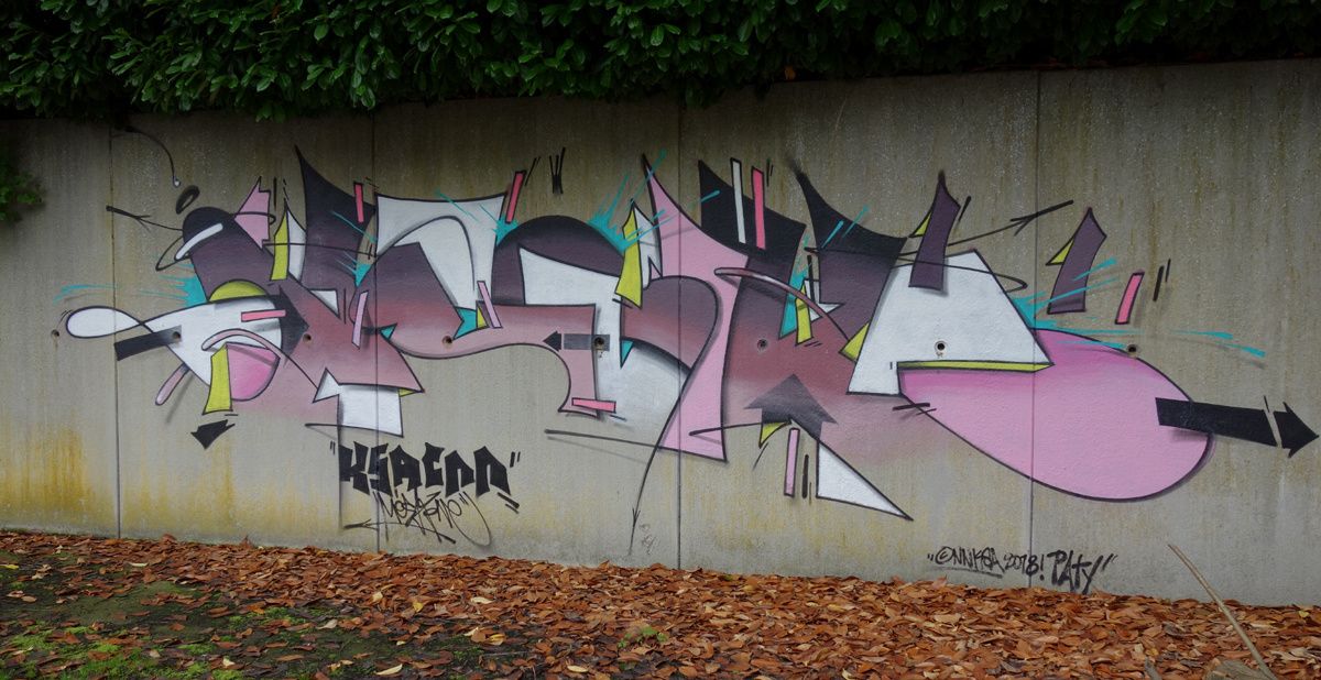 Street Art : Graffitis & Fresques Murales 9473 Denderleeuw ( Belgique )