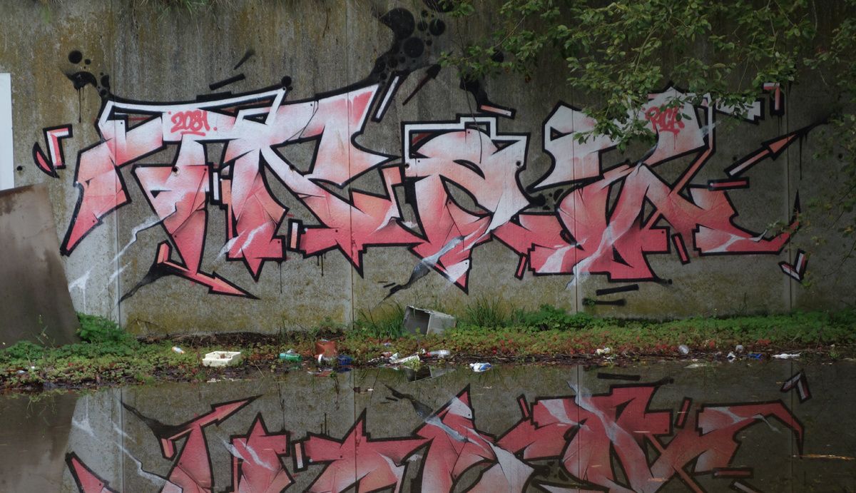 Street Art : Graffitis & Fresques Murales 9473 Denderleeuw ( Belgique )