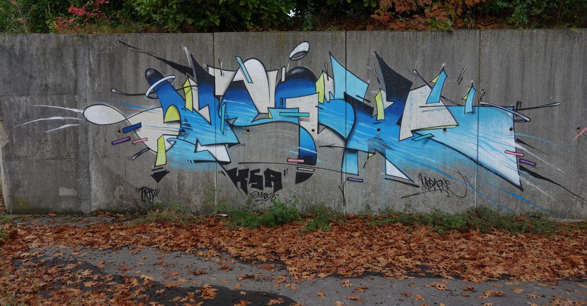 Street Art : Graffitis & Fresques Murales 9473 Denderleeuw ( Belgique )