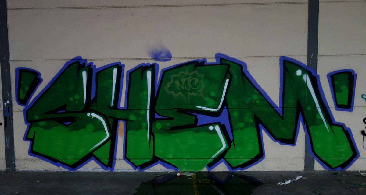 Street Art : Graffitis & Fresques Murales 9473 Denderleeuw ( Belgique )