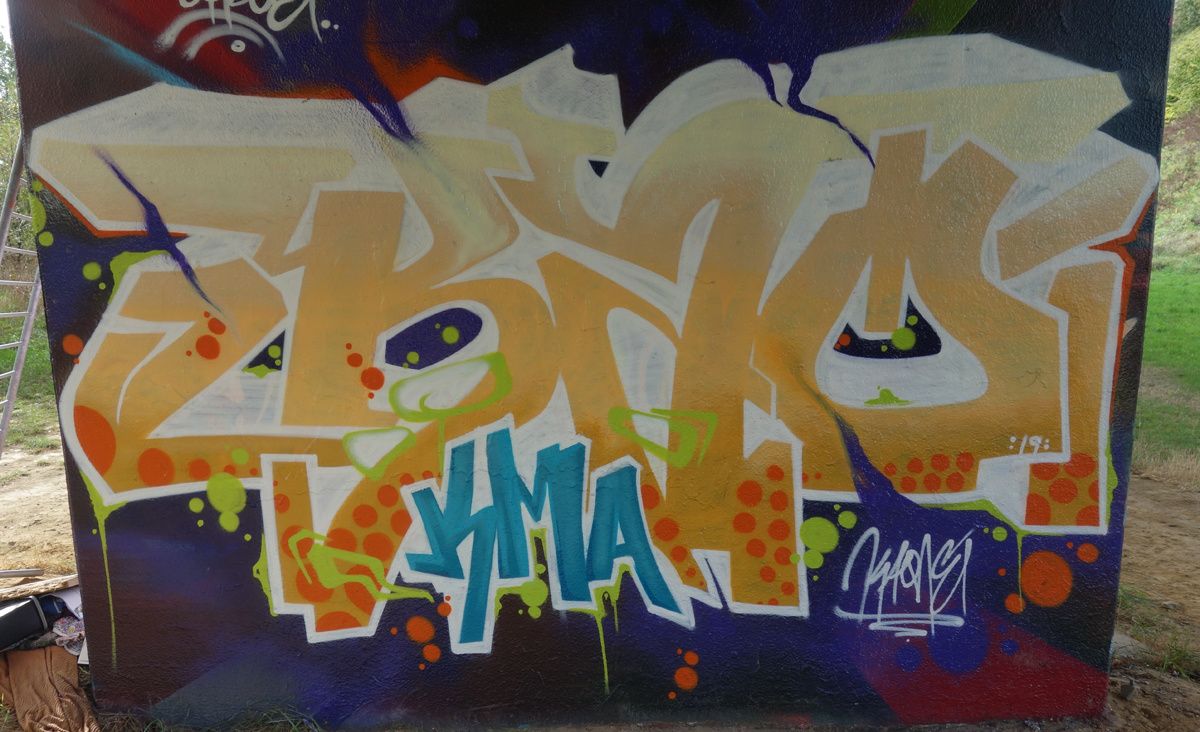 Street Art : Graffitis & Fresques Murales 1070 Anderlecht ( Belgique )