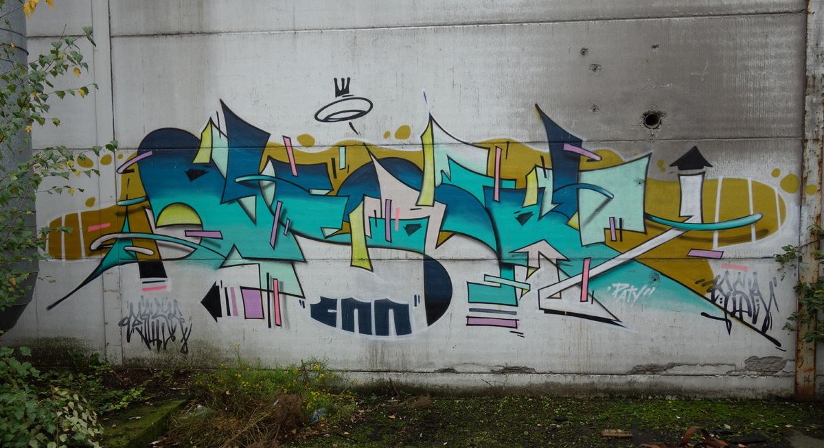 Street Art : Graffitis & Fresques Murales 9473 Denderleeuw ( Belgique )