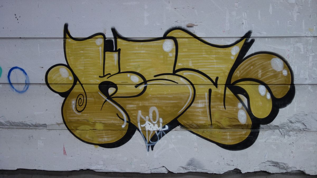 Street Art : Graffitis & Fresques Murales 9473 Denderleeuw ( Belgique )