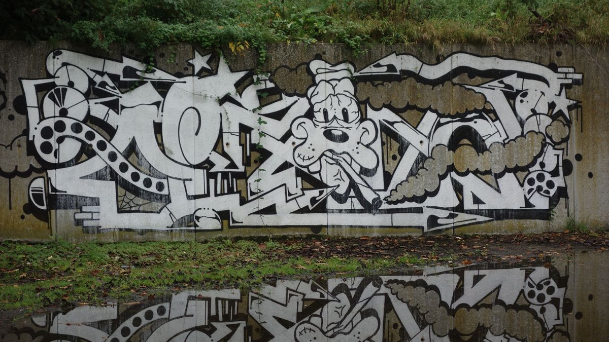 Street Art : Graffitis & Fresques Murales 9473 Denderleeuw ( Belgique )