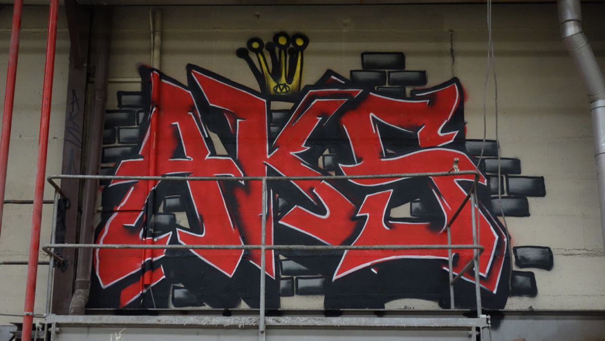 Street Art : Graffitis & Fresques Murales 9473 Denderleeuw ( Belgique )