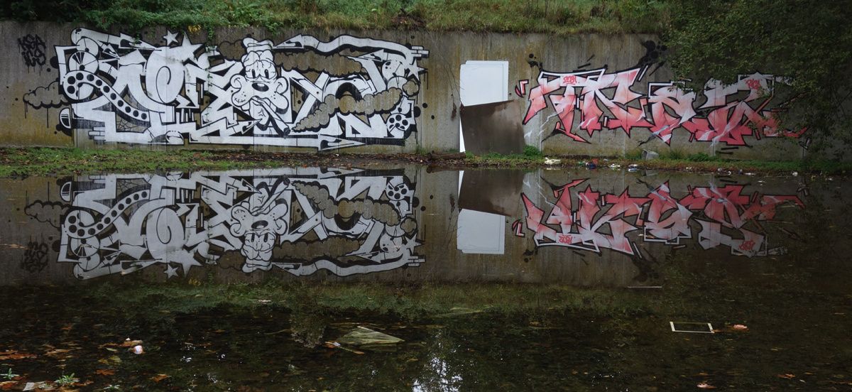 Street Art : Graffitis & Fresques Murales 9473 Denderleeuw ( Belgique )