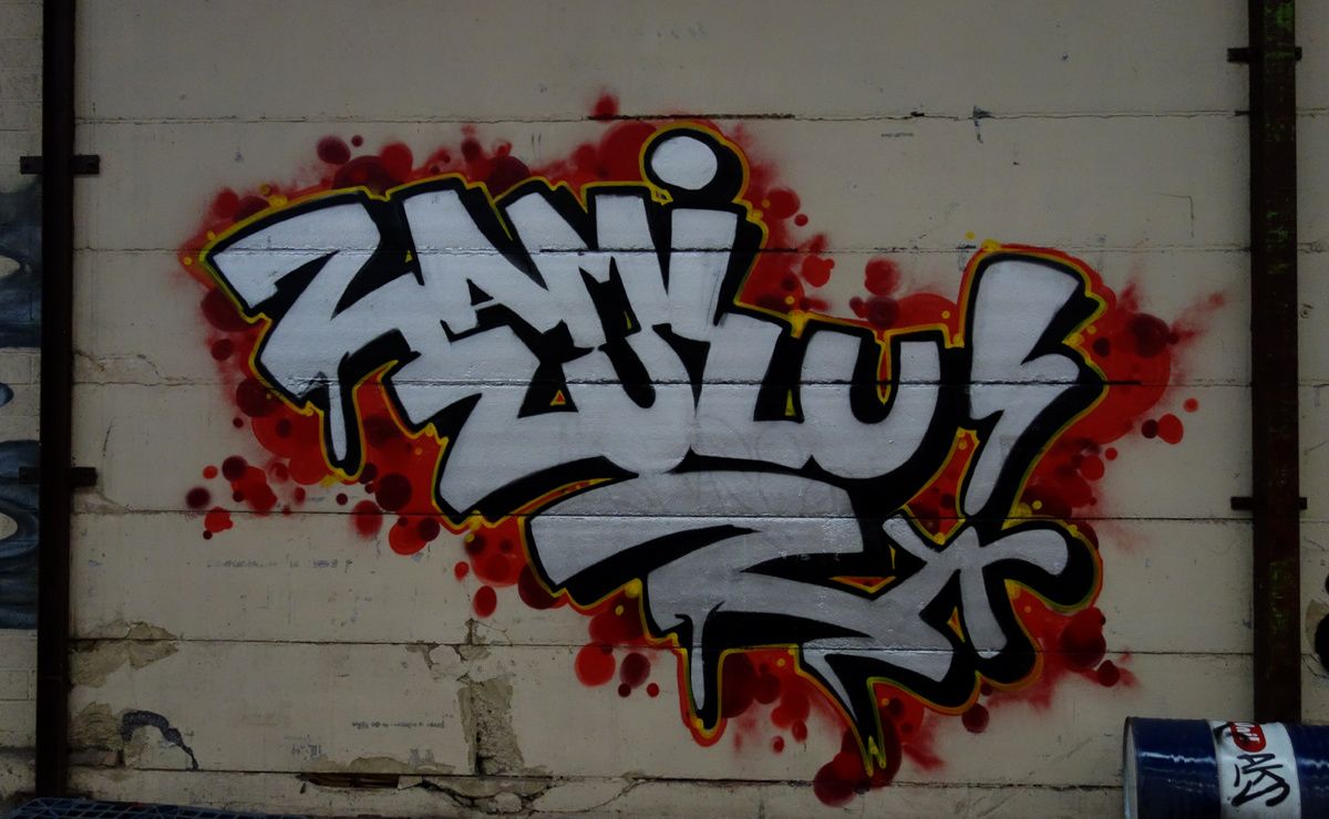 Street Art : Graffitis & Fresques Murales 9473 Denderleeuw ( Belgique )