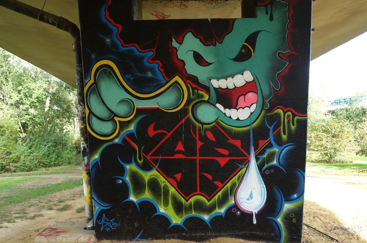 Street Art : Graffitis & Fresques Murales 1070 Anderlecht ( Belgique )