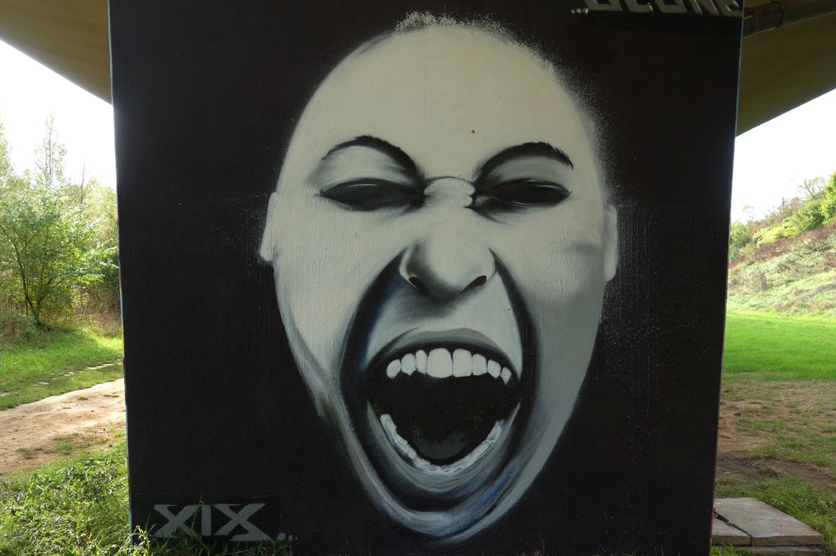 Street Art : Graffitis & Fresques Murales 1070 Anderlecht ( Belgique )