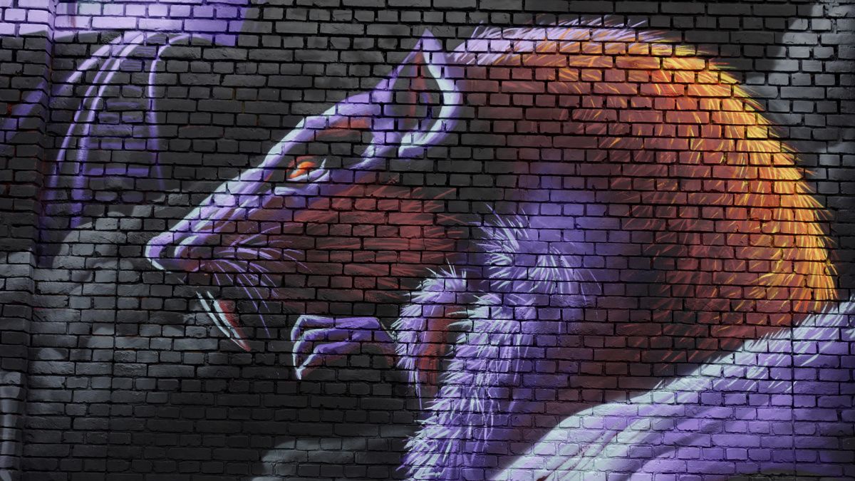 Street Art : Graffitis & Fresques Murales 2028 Antwerpen (Belgique)