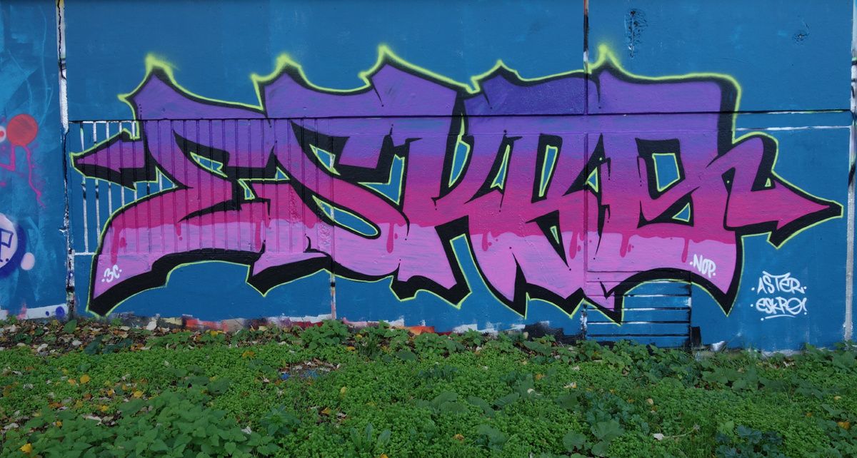 Street Art : Graffitis & Fresques Murales 94400 Vitry sur seine