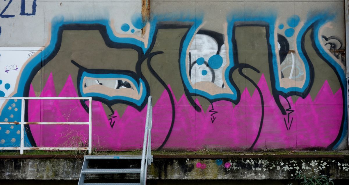 Street Art : Graffitis & Fresques Murales 76100 Rouen