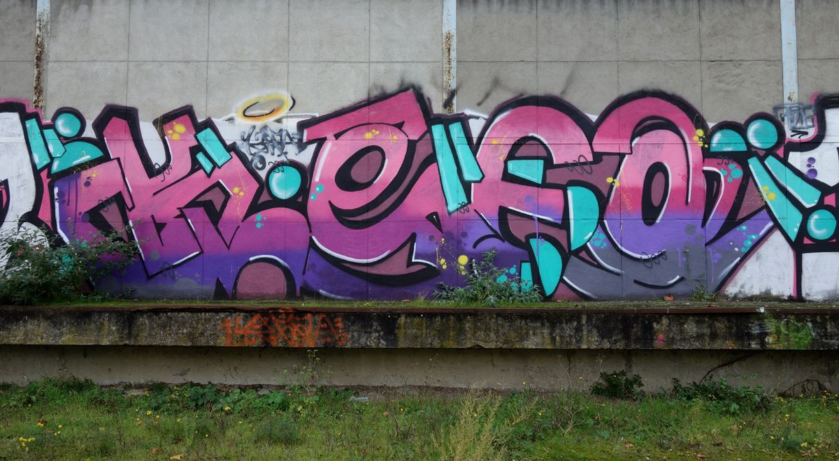 Street Art : Graffitis & Fresques Murales 76100 Rouen