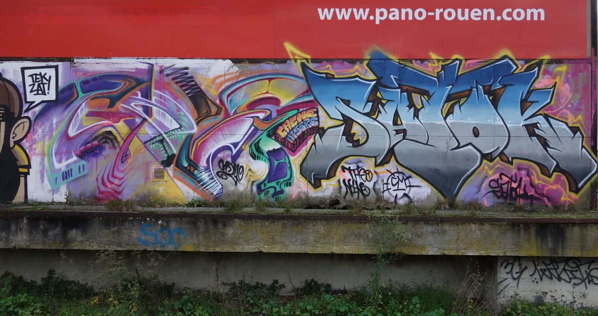 Street Art : Graffitis & Fresques Murales 76100 Rouen