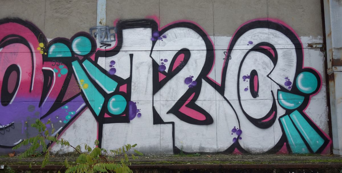 Street Art : Graffitis & Fresques Murales 76100 Rouen