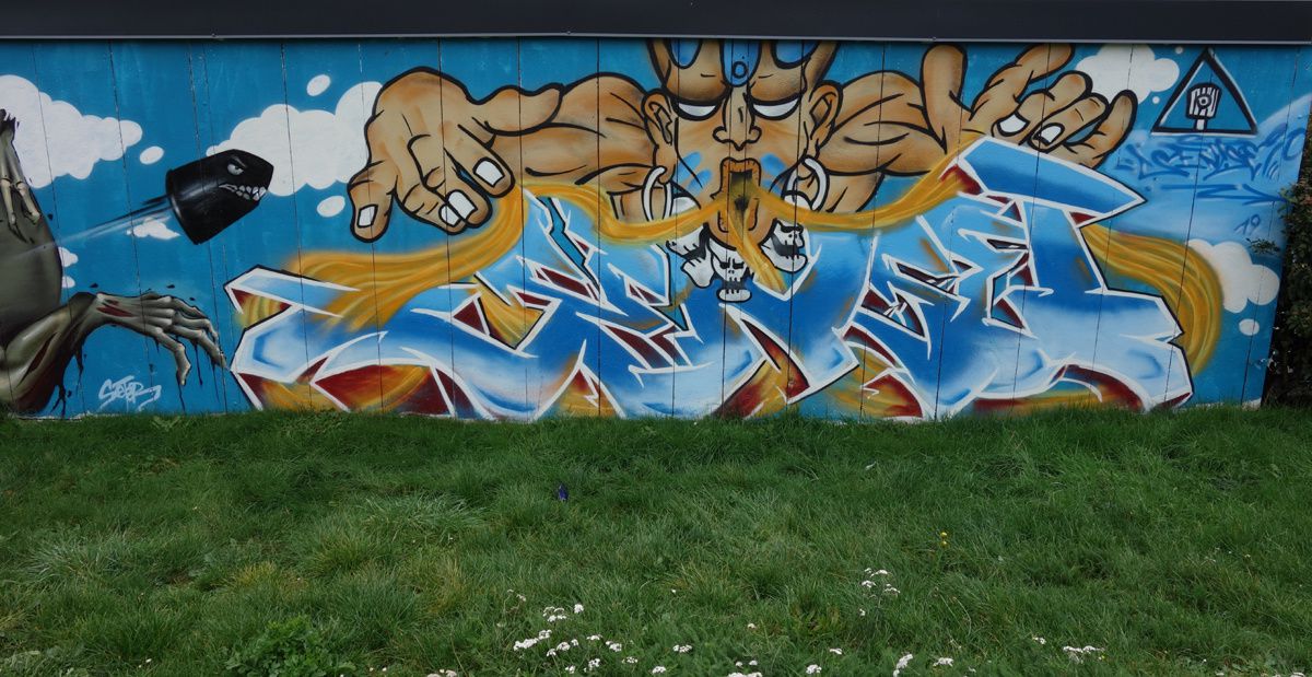 Street Art : Graffitis &amp; Fresques Murales 76360 Villers Ecalles