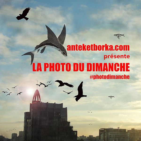 La photo du dimanche