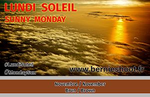 brun marron lundi soleil novembre