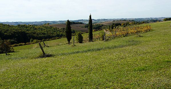 campagne ariege villeneuve latou