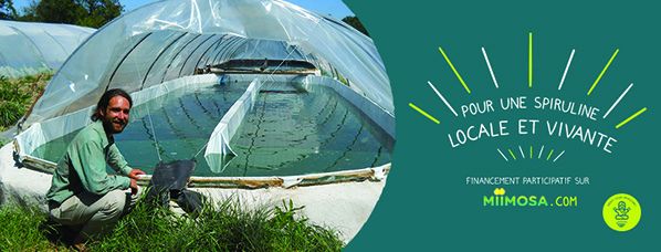 pur une spiruline locale et fraiche campagne financement participatif akal food