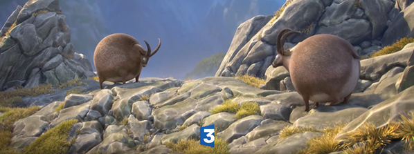 france 3 occitanie_Clip Animaux été 2017