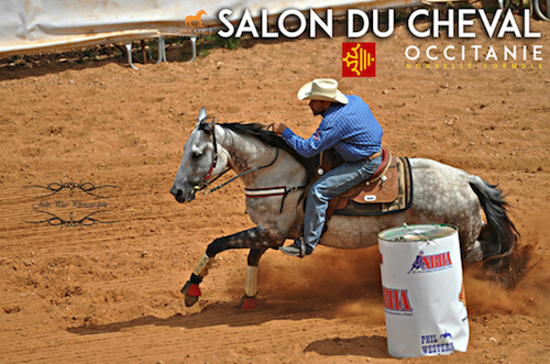 Salon du Cheval Occitanie equitation spectacle saut obstacle dressage toulouse cepiere