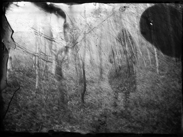 melanie patris photographe artiste get into the forest