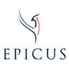 epicus pull made in france merinos