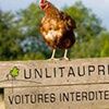 un lit au pré vacances tourisme automne hiver cabane bois tente luxe