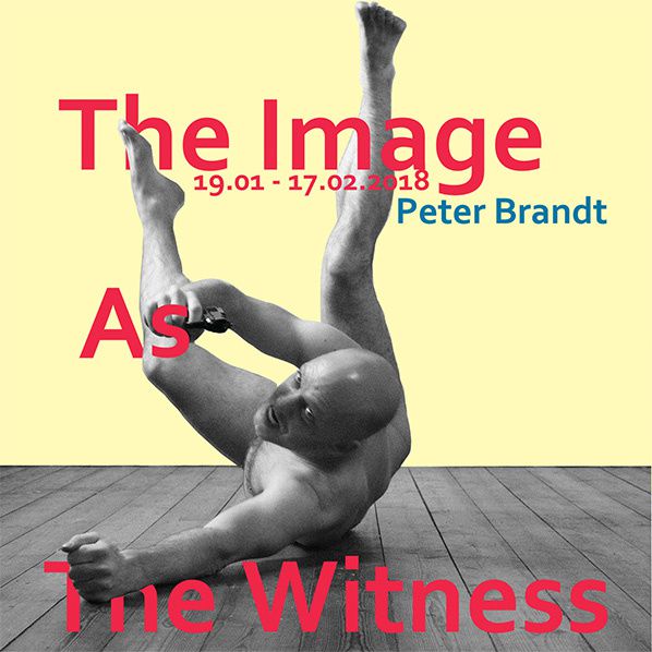 The Image As The Witness - Peter Brandt