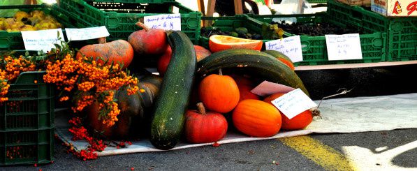 courge courgettes potiron potimaron