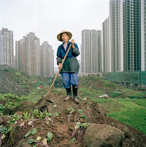 chongqing; development china; hasselblad; urban farmer; vertical communism