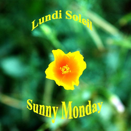 couverture lundi soleil jaune sunny monday yellow