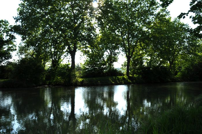 canal midi reflet