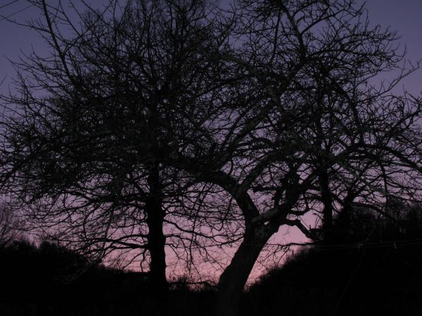 ciel nocturne pyrenees ariege