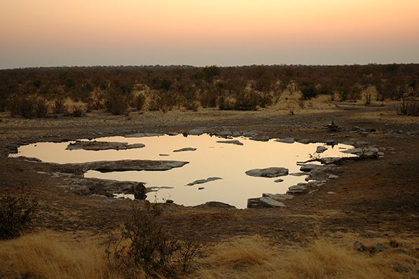 point eau etosha namibie