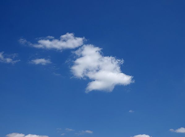 bernieshoot nuage colombe