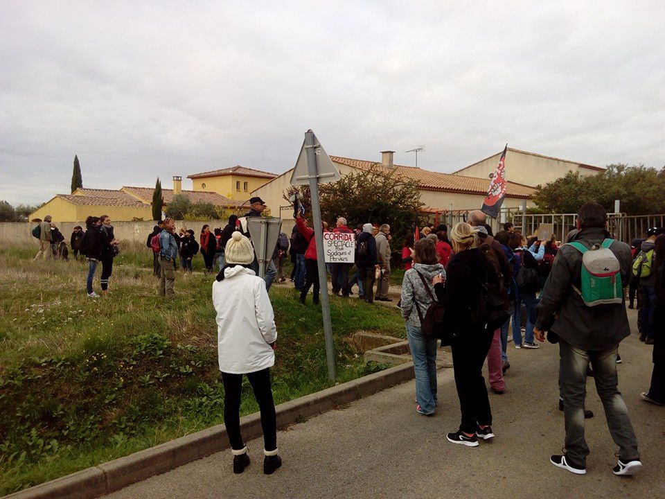 Gard: Une manifestation anticorridas à Rodilhan sous très haute surveillance