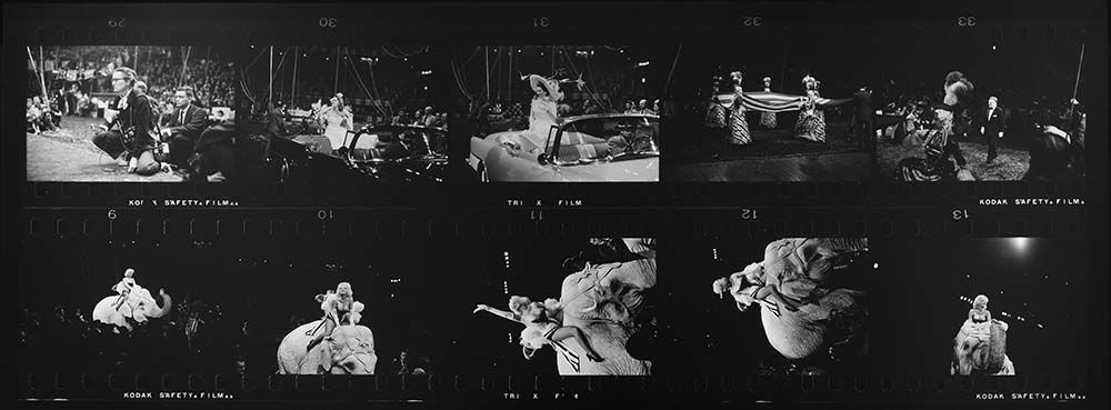 Marilyn Monroe et l’éléphant du cirque Barnum, 30 mars 1955.