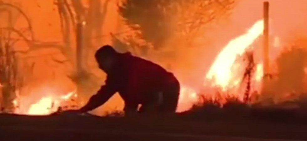 Incendies en Californie: un homme sauve un lapin du brasier 