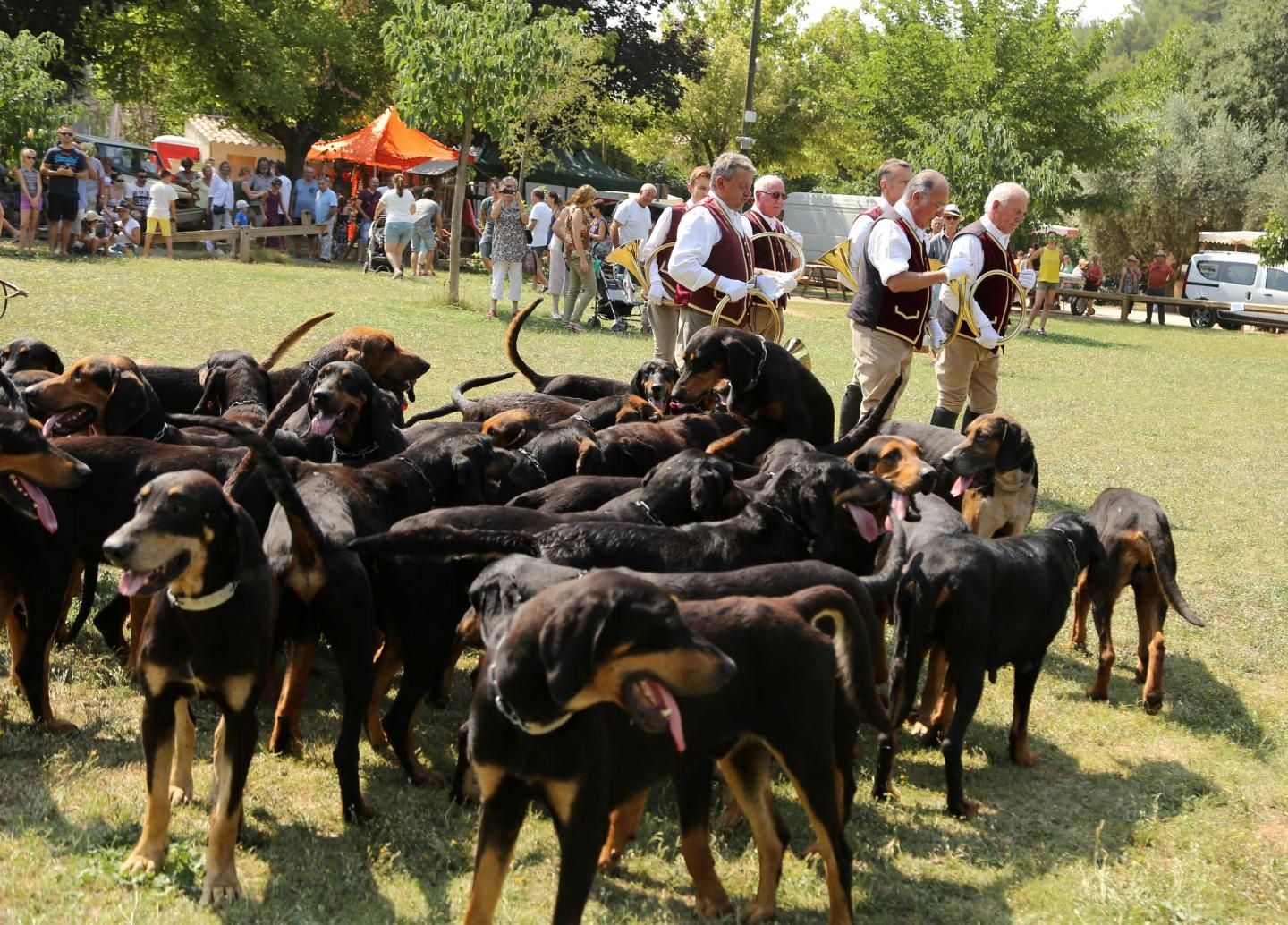 L Ame D Un Chien Apres Sa Mort Les organisateurs de la fête du chien de Barjols menacés de mort après