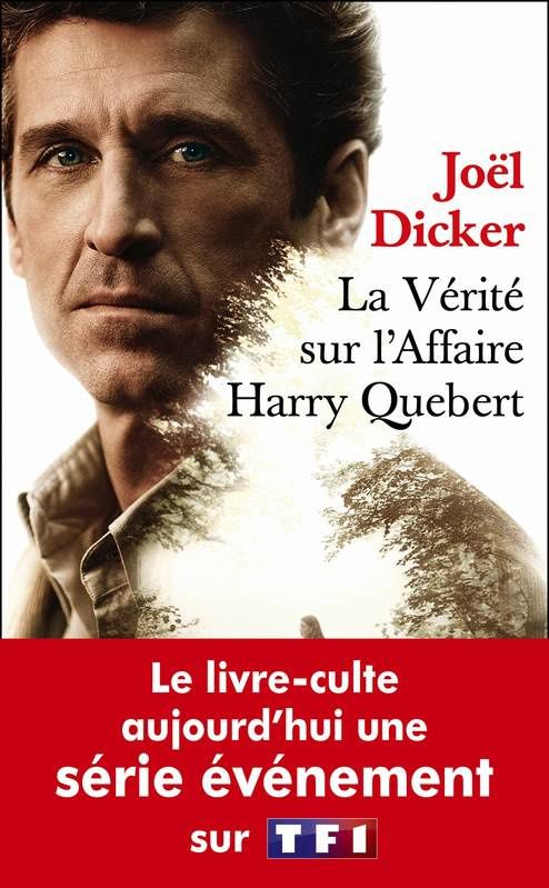 Joël Dicker à propos de la série Harry Quebert : « C’est une adaptation très fidèle, j’en suis honoré et très heureux. » 
